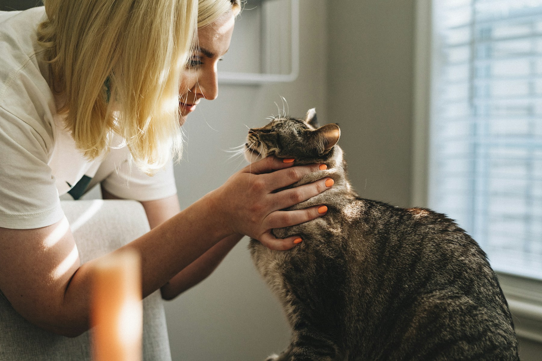 Veterinary Services preview